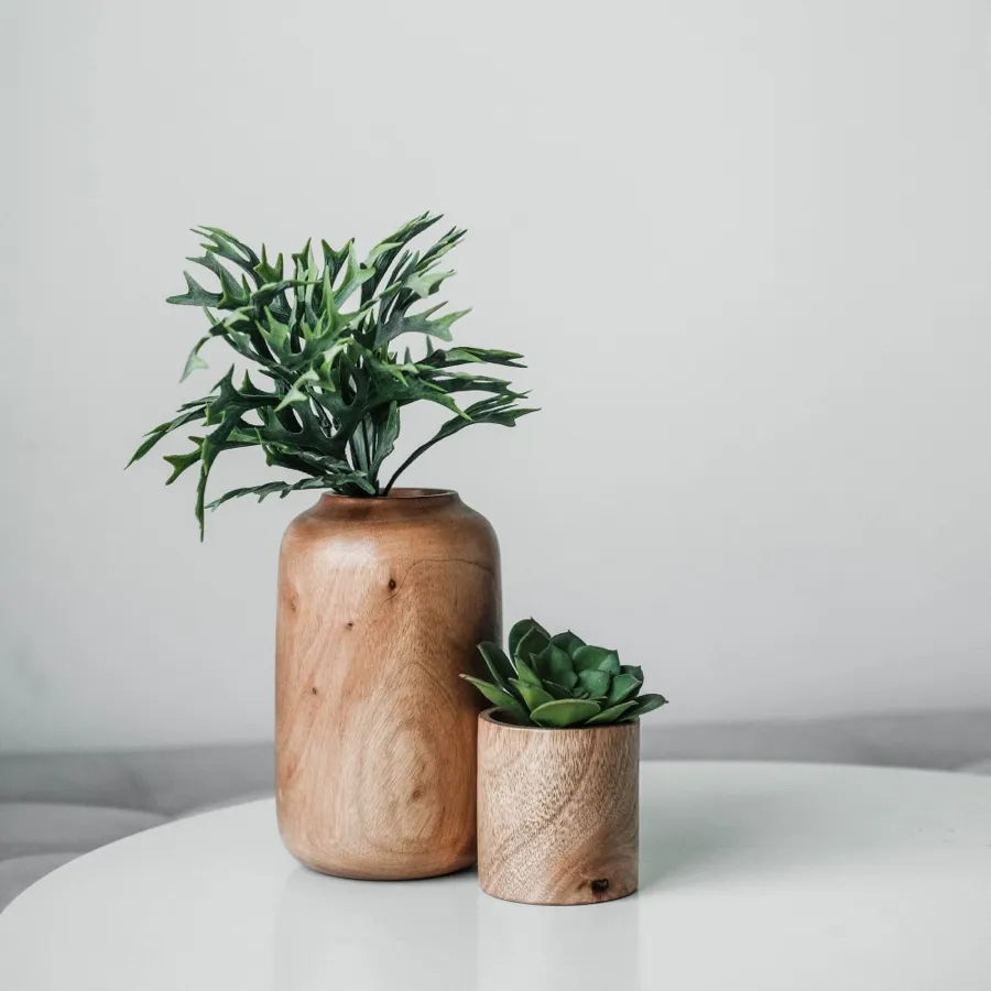Descubre un mundo donde el estilo se encuentra con las puestas de sol, y cada momento en el medio es una expresión artística #galeriadevida #vidainteresante